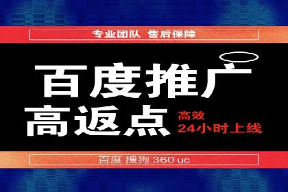 低成本高回报：百度竞价代理成功案例分析